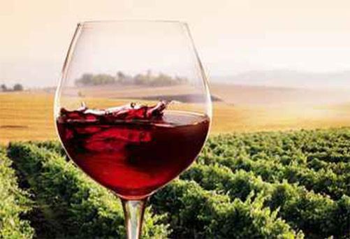 Ginevra-villa Indipendente-crete Senesi-tuscany * Sienne